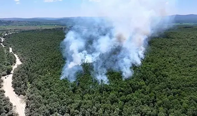 Çatalca Ormanlı'da orman yangını havadan ve karadan müdahaleyle söndürüldü