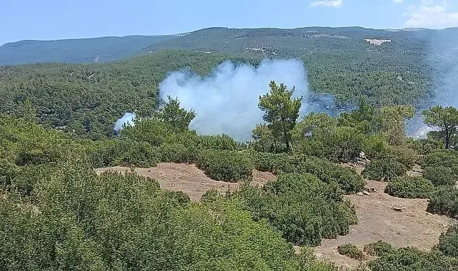 Çine'deki yangın söndürüldü