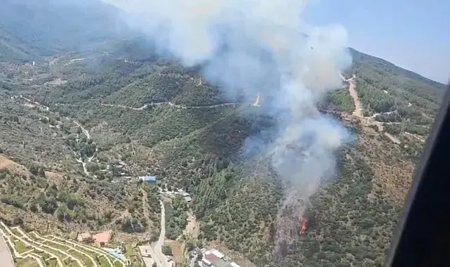 Narlıdere'deki orman yangınına havadan ve karadan müdahale