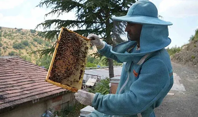 Bin 200 çeşit endemik bitki türüyle 4 kuşaktır süren gelenek: Kanyon balında 4 tonluk rekolte