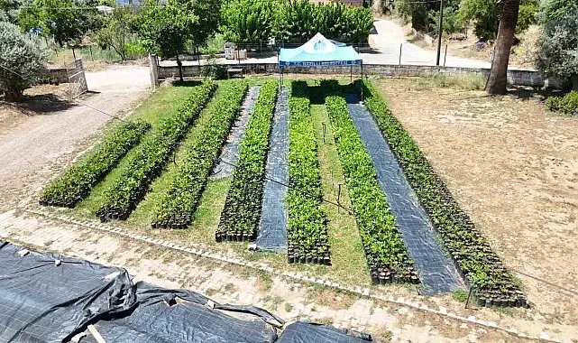Nazilli Belediyesi üretiyor, köylere can oluyor