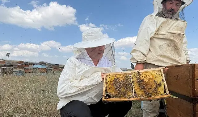 Tarım ve Orman Müdürü Aydın, Kars yaylalarında arıcılarla buluştu