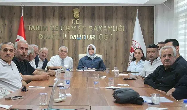 Düzce'de fındık rekolte tahmin çalışmaları değerlendirildi