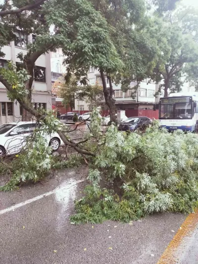 Başkentte Sağanak Yağış Hayatı Felç Etti: Devrilen Ağaç Trafiği Durma Noktasına Getirdi