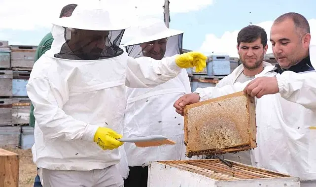 Sorgun'da sezonun ilk bal hasadı yapıldı, Sorfest 2026'da 'En İyi Bal' seçilecek