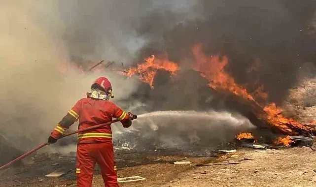Menteşe'de korkutan araç yangını: Otomobil küle döndü
