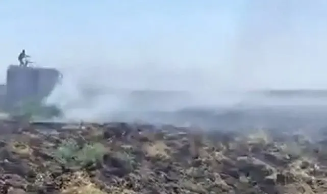 Mardin'deki anız yangını kontrol altına alındı