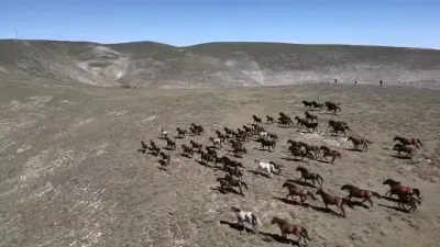 Amasya Akdağ'ın Yılkı Atları Havadan Görüntülendi