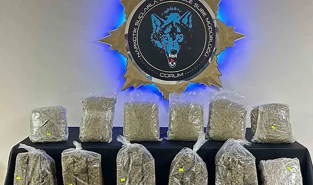 Çorum'da 9 kilo skunk ele geçirildi: 1 tutuklama