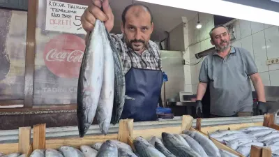Düzce'de Balık Sezonu Bereketli Başladı: Palamut ve Hamsi Tezgahları Şenlendirdi