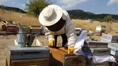 Malatya Akçadağ'da Kilogramı 1500 Lira Olan Organik Bal Kısa Sürede Tükendi