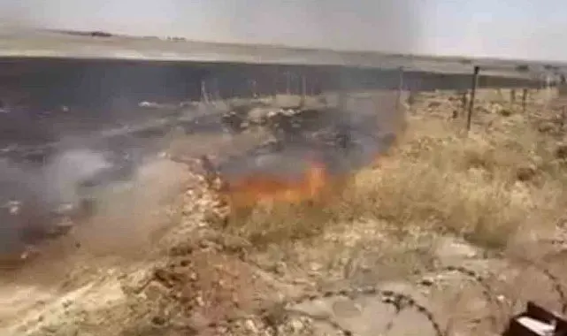 Mardin'de çıkan anız yangınına müdahale ediliyor
