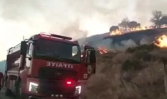Kahta'da anız yangını köye kadar ulaştı