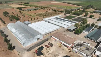 Şanlıurfa’da Kış Sezonu İçin 500 Bin Mevsimlik Çiçek Üretiliyor
