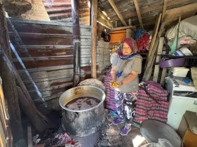 Torosların Taş Eriği Sofralarda: 10 Kilo Erikten 1 Kilo Ekşi Çıkıyor, Kilogramı 500 Liradan Satılıyor