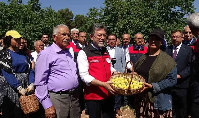 Malatya'da kayısı hasadına katılan Bakan Yumaklı: "Geçtiğimiz senenin o karamsar zamanını üzerimizden atan çok güzel bir ürün görüyoruz"