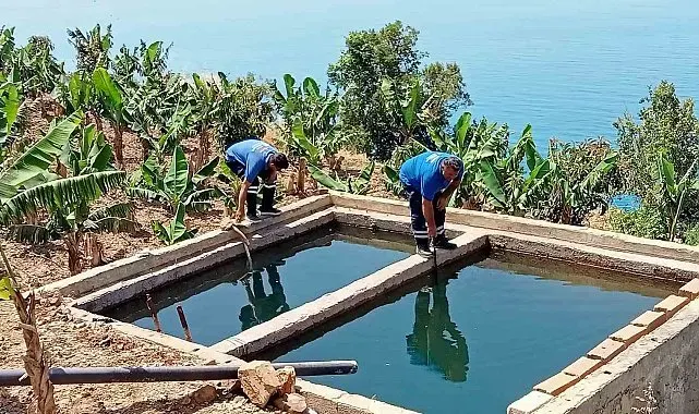 Antalya'da vektörel mücadele kültürel, fiziksel, biyolojik ve kimyasal olarak gerçekleştiriliyor
