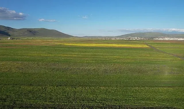 Yazın renk cümbüşüne bürünen Ardahan ovası havadan görüntülendi
