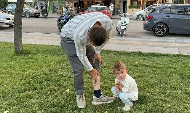 Vücuduna tutunan kene ile yüzük takma merasimine katılan besici, tehlikeyi hiçe sayarak "Keneyi besiye aldık" dedi