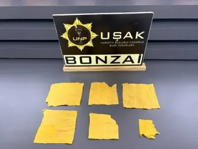 Uşak'ta Geniş Çaplı Uyuşturucu Operasyonu: 14 Şüpheli Tutuklandı