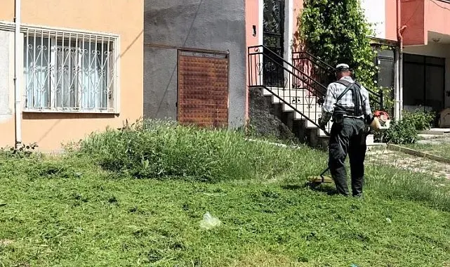 Söğüt'te çim biçme ve ilaçlama çalışmaları aralıksız devam ediyor