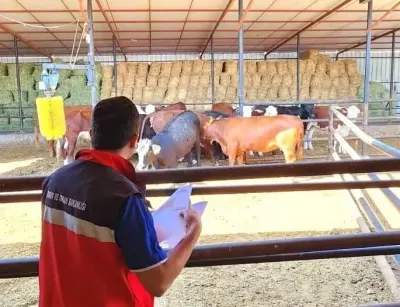 Afyonkarahisar'da TİGEM Destekli Hayvancılık Projesinde Denetimler Sürüyor