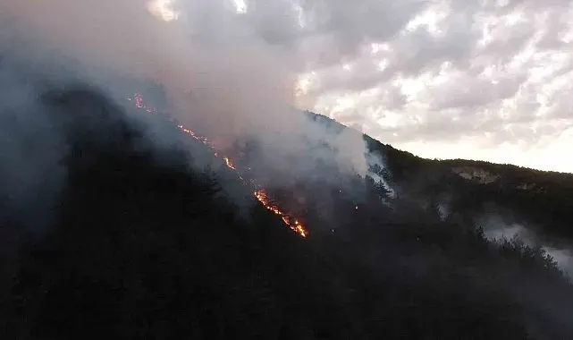 Kastamonu'daki orman yangınına müdahale sürüyor