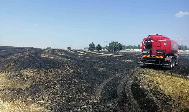 Keşan'da çıkan yangında 12 dönüm buğday ekili alan zarar gördü