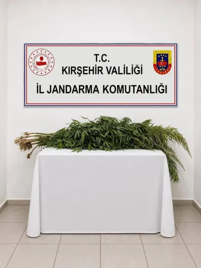 Kırşehir Boztepe'de Jandarmadan Uyuşturucu Operasyonu: 30 Kök Bitki Ele Geçirildi