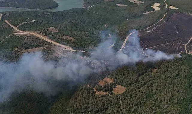 Anızdan ormana sıçrayan yangın dron ile görüntülendi