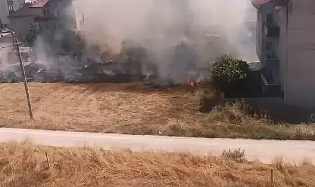 Anız yangınında 20 dönüm tarım alanı yandı