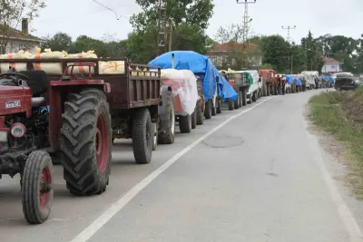Çarşamba Ziraat Odası Başkanı'ndan Fındık Üreticilerine Kritik Uyarı
