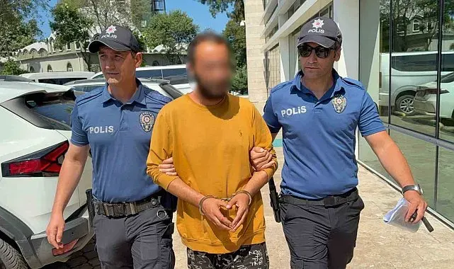 Kediye tekme atan şahıs tutuklandı: "Sinirliydim, pişmanım"