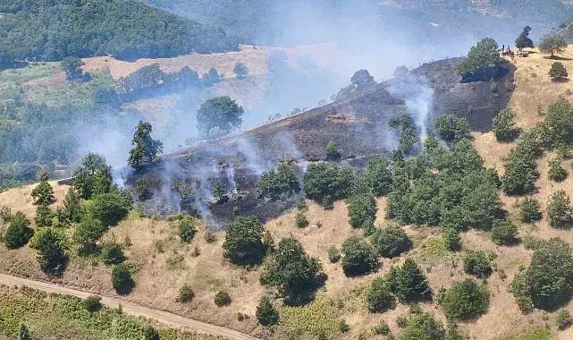 Alevler, ormana sıçramadan söndürüldü