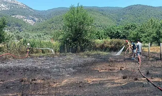 Menteşe Yaraş'ta arazi yangını: Alevler güçlükle söndürüldü