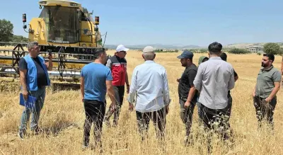 Diyarbakır Dicle'de Yüzde 75 Hibeli Mercimek Tohumu Desteği Başvuruları Başladı