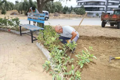 Nazilli Belediyesi Kış Hazırlıklarına Başladı: Park ve Bahçeler Temizleniyor