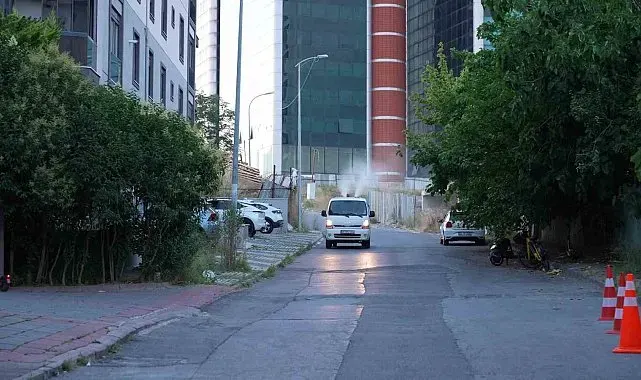 Maltepe'de ilaçlama çalışması hız kesmiyor