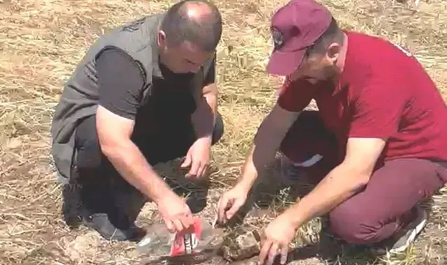 Emet'te alevlerin arasından kurtarılan kaplumbağa yürekleri ısıttı
