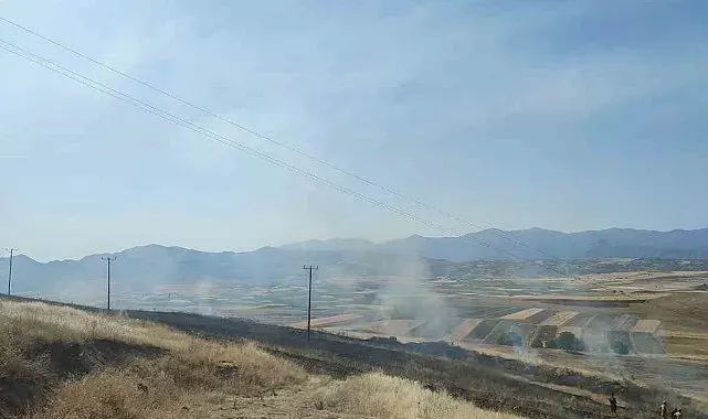 Elazığ'daki yangında 40 dönümlük arpa küle döndü