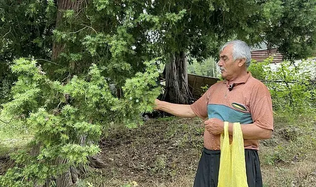 Doğadan topladığı andız çekirdeklerini koleksiyonluk tespihlere dönüştürüyor