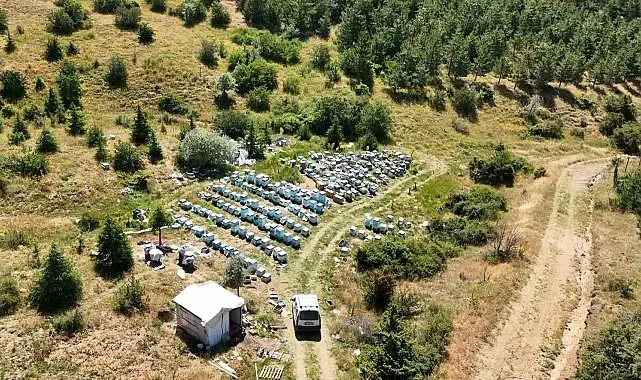 Yozgat'ın zengin bitki örtüsü arıcılara umut oldu