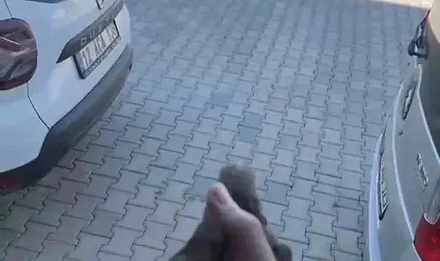 Apartman boşluğuna düşen sığırcık kurtarıldı