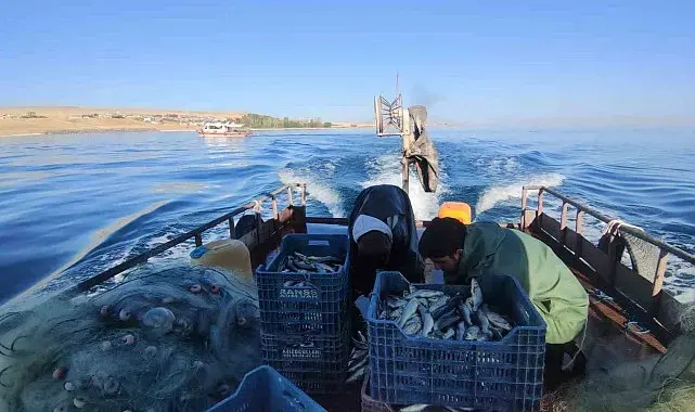 Van'da 90 günlük inci kefali av yasağı sona erdi