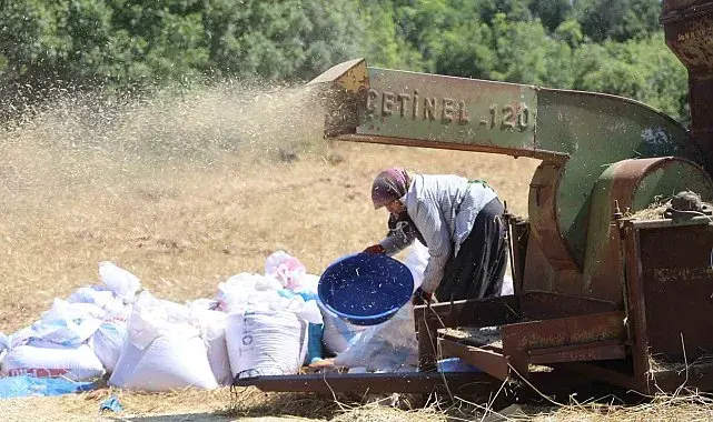 Hataylı çiftçilerin kavurucu sıcakta tozlu mesaisi sürüyor