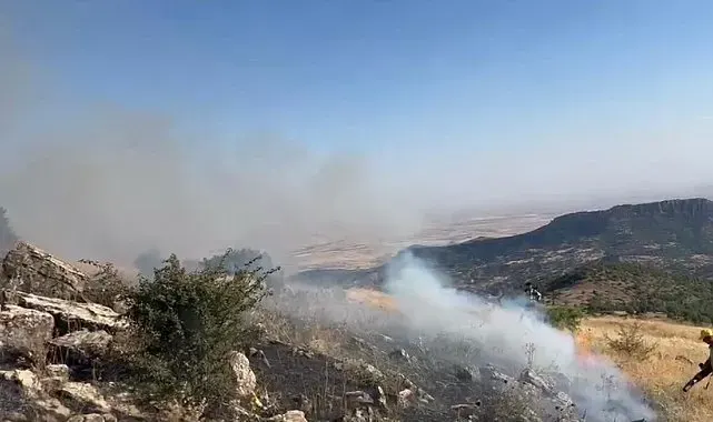 Diyarbakır'da örtü yangını