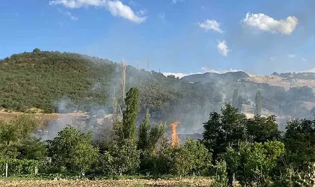 Çorum'daki orman yangını kontrol altına alındı
