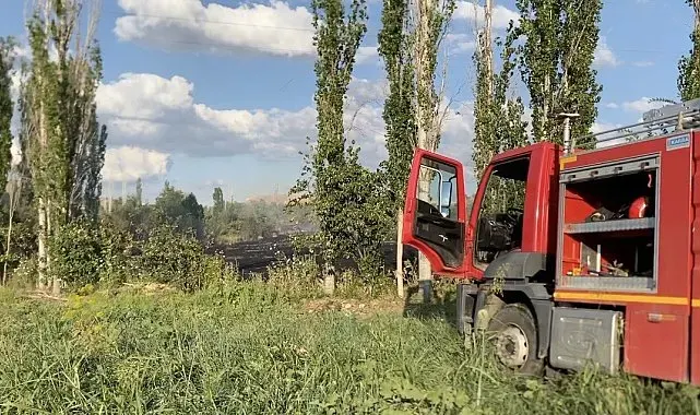 Çorum'da orman yangını