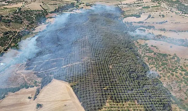 Ormanlık alanda yangın: 15 hektar alan küle döndü