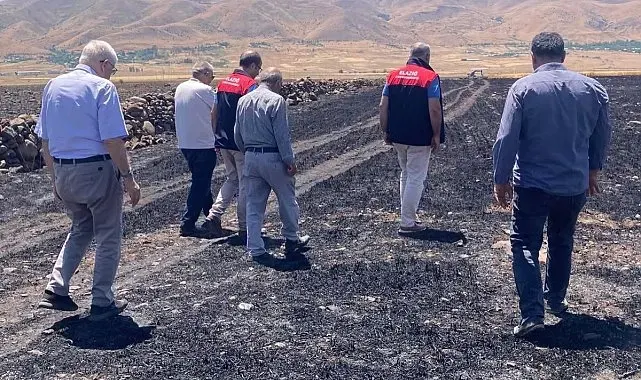 Elazığ'da küle dönen 70 dönümlük ekili alanda hasar tespit çalışmaları